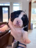 processed/425920b8-28b6-4794-af2d-1ff713373c4a/listing/214628cf-2cf9-4ef5-a898-0cc56b649e69/d16cafec-b055-4732-8399-69e12ff68957