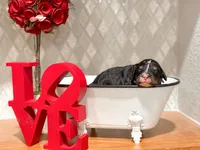 processed/425920b8-28b6-4794-af2d-1ff713373c4a/listing/4c9cd9e2-e78d-4cc3-a147-250fe4401977/afb7909b-fcbb-4bb0-a87f-5e24083b3023