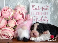 processed/425920b8-28b6-4794-af2d-1ff713373c4a/listing/852cdda0-0dbf-4c24-9a04-06f3cef11291/345dd50a-62e7-40cc-ac11-d36711f65304