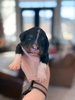 processed/425920b8-28b6-4794-af2d-1ff713373c4a/listing/ec36b752-3fe1-40d9-9cd4-a048dd2fe03b/1680d803-e0a7-486b-842e-53372f96352d