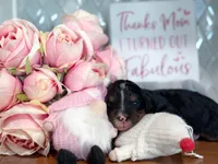 processed/425920b8-28b6-4794-af2d-1ff713373c4a/listing/ec36b752-3fe1-40d9-9cd4-a048dd2fe03b/96503c0d-37fc-47b2-8139-7114bf8becc3