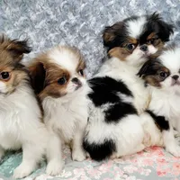 processed/426cbfdf-1126-4bf5-9d9b-cea2b9eb6dee/facility/14d7c518-c8c5-4327-bbf0-94079b8a0263