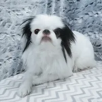 processed/426cbfdf-1126-4bf5-9d9b-cea2b9eb6dee/facility/7d2e7bde-32e6-4495-ac9c-5271c99a1aa2