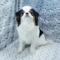 processed/426cbfdf-1126-4bf5-9d9b-cea2b9eb6dee/facility/918ceef2-46fb-4956-abf2-9ead644ef683