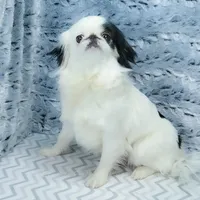 processed/426cbfdf-1126-4bf5-9d9b-cea2b9eb6dee/facility/9d3c21c1-1a3c-4643-8f8c-2724e4364bc3