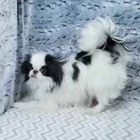 processed/426cbfdf-1126-4bf5-9d9b-cea2b9eb6dee/facility/9fbefd8e-d5dc-4700-b57b-48c86a319bdd