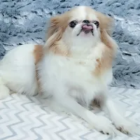 processed/426cbfdf-1126-4bf5-9d9b-cea2b9eb6dee/facility/a35fe590-bf3b-40ad-9fe9-3ee5340bd76c