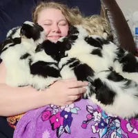 processed/426cbfdf-1126-4bf5-9d9b-cea2b9eb6dee/facility/a3ebc736-3808-4ee0-92c9-71d533ed2065