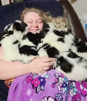 processed/426cbfdf-1126-4bf5-9d9b-cea2b9eb6dee/facility/a3ebc736-3808-4ee0-92c9-71d533ed2065