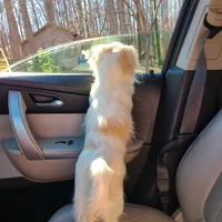 processed/426cbfdf-1126-4bf5-9d9b-cea2b9eb6dee/facility/b89b56e8-d097-4457-b67b-01d59a3a3104