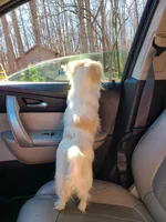 processed/426cbfdf-1126-4bf5-9d9b-cea2b9eb6dee/facility/b89b56e8-d097-4457-b67b-01d59a3a3104