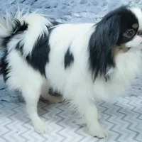 processed/426cbfdf-1126-4bf5-9d9b-cea2b9eb6dee/facility/c37bdf86-8bc3-4e44-ad0b-4e09b93cd39e