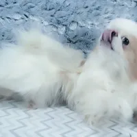 processed/426cbfdf-1126-4bf5-9d9b-cea2b9eb6dee/facility/d3db3dfd-a907-4950-af63-e2f032fa88ba