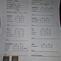 Ligeia, a female Japanese Chin for sale in Johnson City, TN – Photo 10 of 10