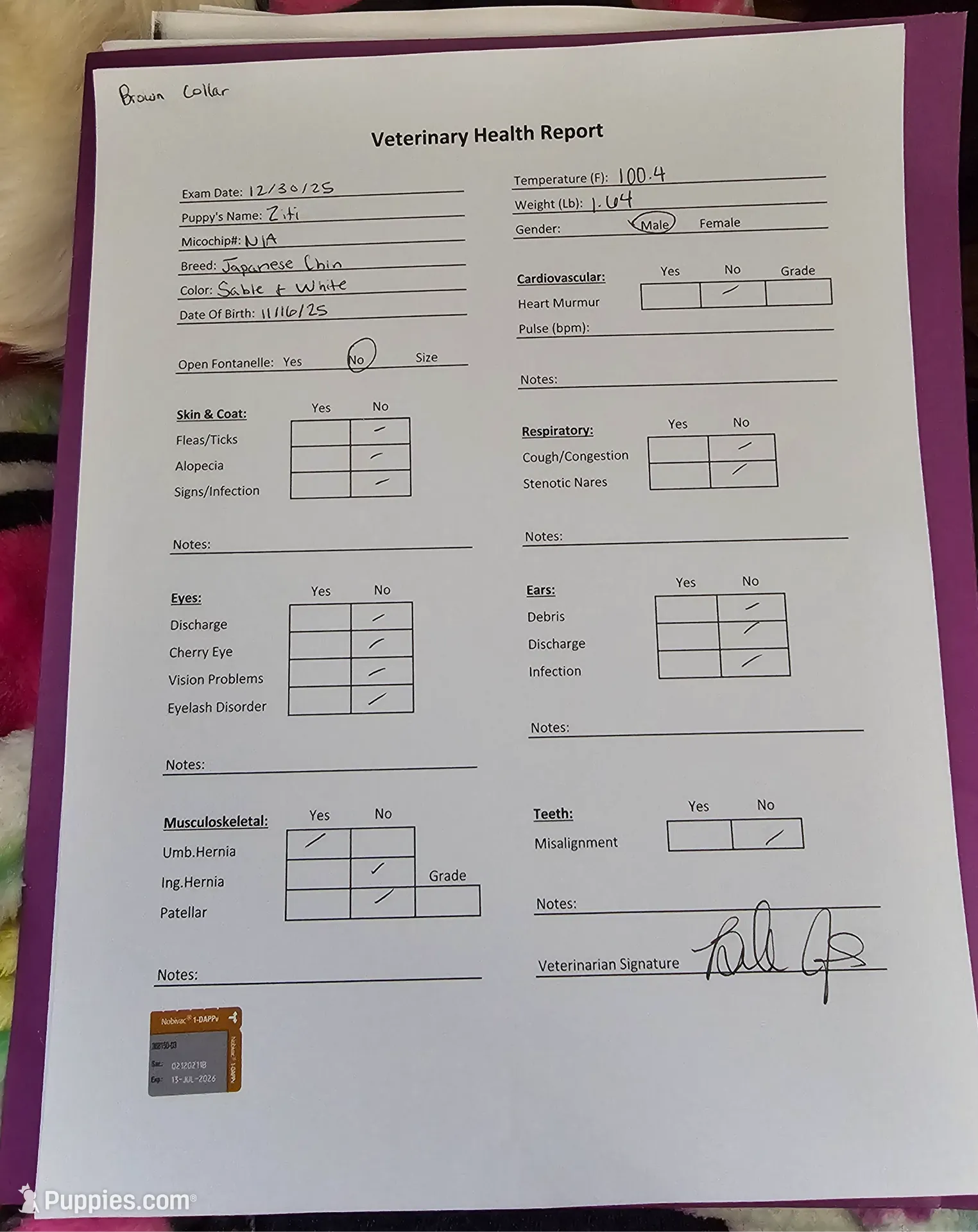 processed/426cbfdf-1126-4bf5-9d9b-cea2b9eb6dee/listing/c3bca04b-78d0-44cb-9450-de0ea323ca6d/d6a2ea6b-5ab9-4d6b-8462-150be30f1a0c