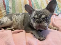 processed/426d7f1a-e350-4c16-b177-0389ac0015dc/facility/9606af6e-a90e-42bf-b9d8-f4b4768dd503