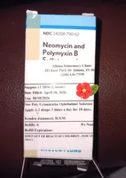 Peaches tuxcedo *vet checked* 1pd 6  oz, a female Poodle - Toy  for sale in Kendallville, IN – Photo 4 of 4