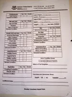 Peaches tuxcedo *vet checked* 1pd 6  oz, a female Poodle - Toy  for sale in Kendallville, IN – Photo 2 of 4