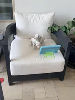 Aladdin(Green Collar), a male Dalmatian for sale in Queen Creek, AZ – Photo 6 of 7