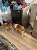 processed/4280e82f-5f8d-4491-a46f-64d6a908960f/listing/4414e681-b8e3-4048-a896-e81b5b31a976/00ecb980-9dc1-4870-97d6-cc503dd02ea0