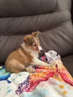 processed/4280e82f-5f8d-4491-a46f-64d6a908960f/listing/4414e681-b8e3-4048-a896-e81b5b31a976/1a399901-d5aa-44b1-971b-68b2a3884151