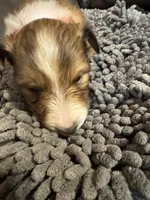 processed/4280e82f-5f8d-4491-a46f-64d6a908960f/listing/4414e681-b8e3-4048-a896-e81b5b31a976/4be011fa-4a15-499d-96a5-0b218e320e83