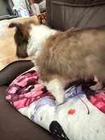 processed/4280e82f-5f8d-4491-a46f-64d6a908960f/listing/4414e681-b8e3-4048-a896-e81b5b31a976/64868fdc-96ef-4678-8407-a868dca32fb5