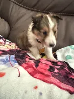 processed/4280e82f-5f8d-4491-a46f-64d6a908960f/listing/4414e681-b8e3-4048-a896-e81b5b31a976/6e78e49d-c17b-4b14-b7ba-2a91991691c1