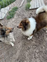 processed/4280e82f-5f8d-4491-a46f-64d6a908960f/listing/4414e681-b8e3-4048-a896-e81b5b31a976/e5398781-3bbb-4739-8594-9d973f76e0e1