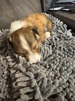 processed/4280e82f-5f8d-4491-a46f-64d6a908960f/listing/4414e681-b8e3-4048-a896-e81b5b31a976/edbb2594-318d-440a-acb2-41d75fef8fd7