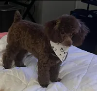 processed/429457c9-785c-4f64-8ccf-ffe94a2c8286/facility/6feeddf4-dfa4-4e59-a553-dbbd063e4f03