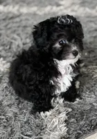 processed/429457c9-785c-4f64-8ccf-ffe94a2c8286/facility/83a8f837-1011-4b8d-ac95-1c62ba6112f1