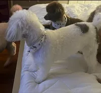 processed/429457c9-785c-4f64-8ccf-ffe94a2c8286/facility/a7f7553b-0d5c-4ad8-8177-b0f48487f2ec