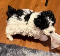 processed/429457c9-785c-4f64-8ccf-ffe94a2c8286/facility/d8249e91-5d8b-473e-bc4e-73b467f8c514