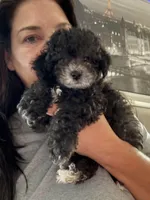 processed/429457c9-785c-4f64-8ccf-ffe94a2c8286/facility/f703743b-cde9-4fdd-a591-3054ad308a5a