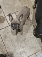 processed/429ba310-65a0-4143-af7a-b512d212d6ef/listing/eec42e2a-fb2f-4ea4-aa1b-a9ceb581d95b/5e107f2b-c988-440d-b06f-991fd1d507c3