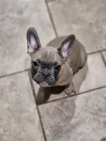 processed/429ba310-65a0-4143-af7a-b512d212d6ef/listing/eec42e2a-fb2f-4ea4-aa1b-a9ceb581d95b/9e3f2bf2-7b1a-4e7d-acda-1ff0a7a5ee2c