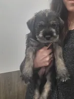 processed/429d5b49-9eac-4334-b7a3-e7d95083568d/facility/08c220b9-f3a2-497c-9a3d-6ddc66a0c40e