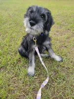 processed/429d5b49-9eac-4334-b7a3-e7d95083568d/facility/3e6d9b08-00f3-4b40-a774-430ba8156bf9