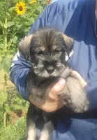 processed/429d5b49-9eac-4334-b7a3-e7d95083568d/facility/600823e8-c070-47f7-b9d9-75b45ab5d290