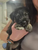 processed/429d5b49-9eac-4334-b7a3-e7d95083568d/facility/66b043ea-ef1d-4cb0-b31c-39be4f634606