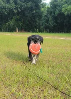 processed/429d5b49-9eac-4334-b7a3-e7d95083568d/facility/948c9d84-683e-45c5-8fe6-82cf83879935