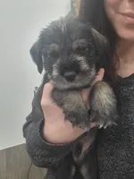 processed/429d5b49-9eac-4334-b7a3-e7d95083568d/facility/98d4abbb-3f85-4171-b7f4-9063fdc12913