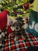 processed/429d5b49-9eac-4334-b7a3-e7d95083568d/listing/4c336913-deae-4366-a51a-7ca314d89916/137f128d-55f9-43eb-9203-f101dc009d2e