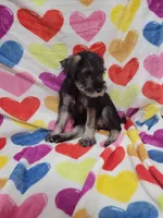 processed/429d5b49-9eac-4334-b7a3-e7d95083568d/listing/cb2b071c-125e-4981-93f1-d7dbd5ce1de5/3199f14a-df27-4703-b9af-ddd9328fa55b