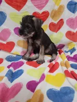 processed/429d5b49-9eac-4334-b7a3-e7d95083568d/listing/cb2b071c-125e-4981-93f1-d7dbd5ce1de5/49f0f2d2-06f9-4975-8cff-a69c84b544a3