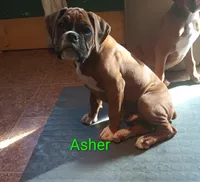 processed/42a41c3a-4c28-468b-b364-0927df109490/listing/b29f91dc-f5c1-4771-b5af-e56301afd5db/05cae5e4-caf6-4611-ade4-9b4c346ee3f8