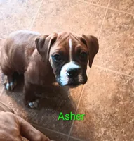 processed/42a41c3a-4c28-468b-b364-0927df109490/listing/b29f91dc-f5c1-4771-b5af-e56301afd5db/6984c3d7-c038-433e-9ed9-028d01515856