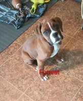 processed/42a41c3a-4c28-468b-b364-0927df109490/listing/ffd1a6d6-3619-4b00-b30c-bbd4886a2a27/28d5f697-2e30-4366-81d5-eee9dea67f9d