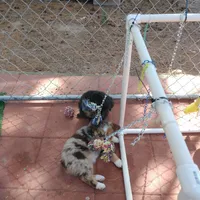 processed/42b6098f-0fd4-4b5a-8041-13a7d1533d73/facility/35ca8181-3092-42fb-8436-ec08a41f194d